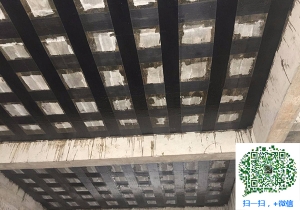 阳西厂房碳纤维加固